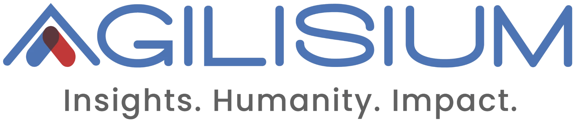 Agilisium — Insights. Humanity. Impact.